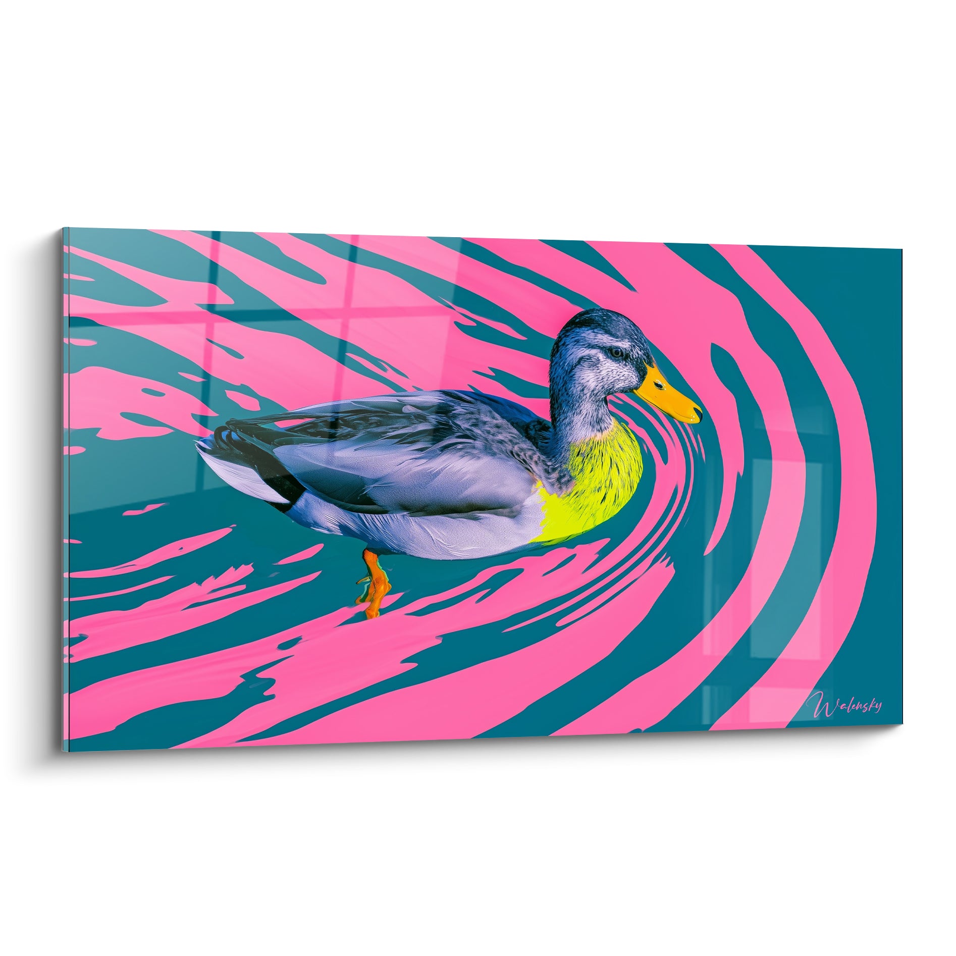 Canard gris et jaune sur fond rose fuchsia et turquoise en larges ondulations concentriques