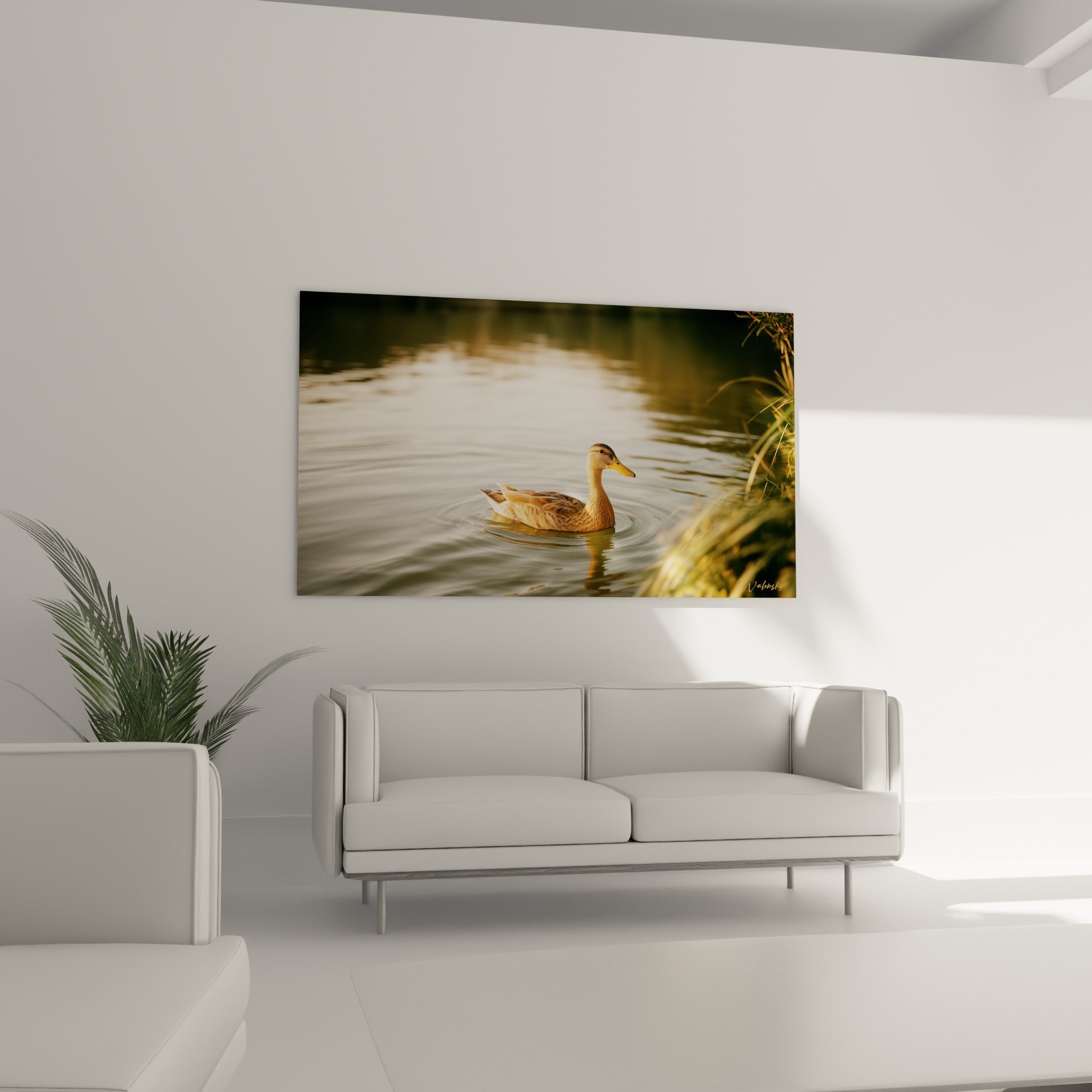 Canard doré glissant sur une eau vert olive, roseaux flous en bordure, au-dessus d'un canapé dans un salon lumineux