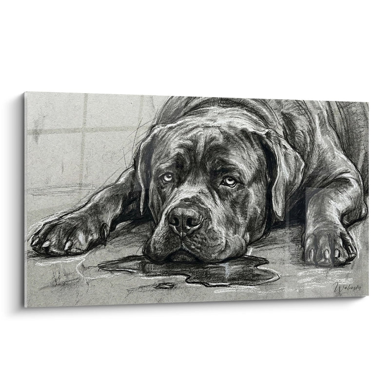Tableau Chien Allongé au Regard Mélancolique - Contemplation Silencieuse - Edition Cane Corso