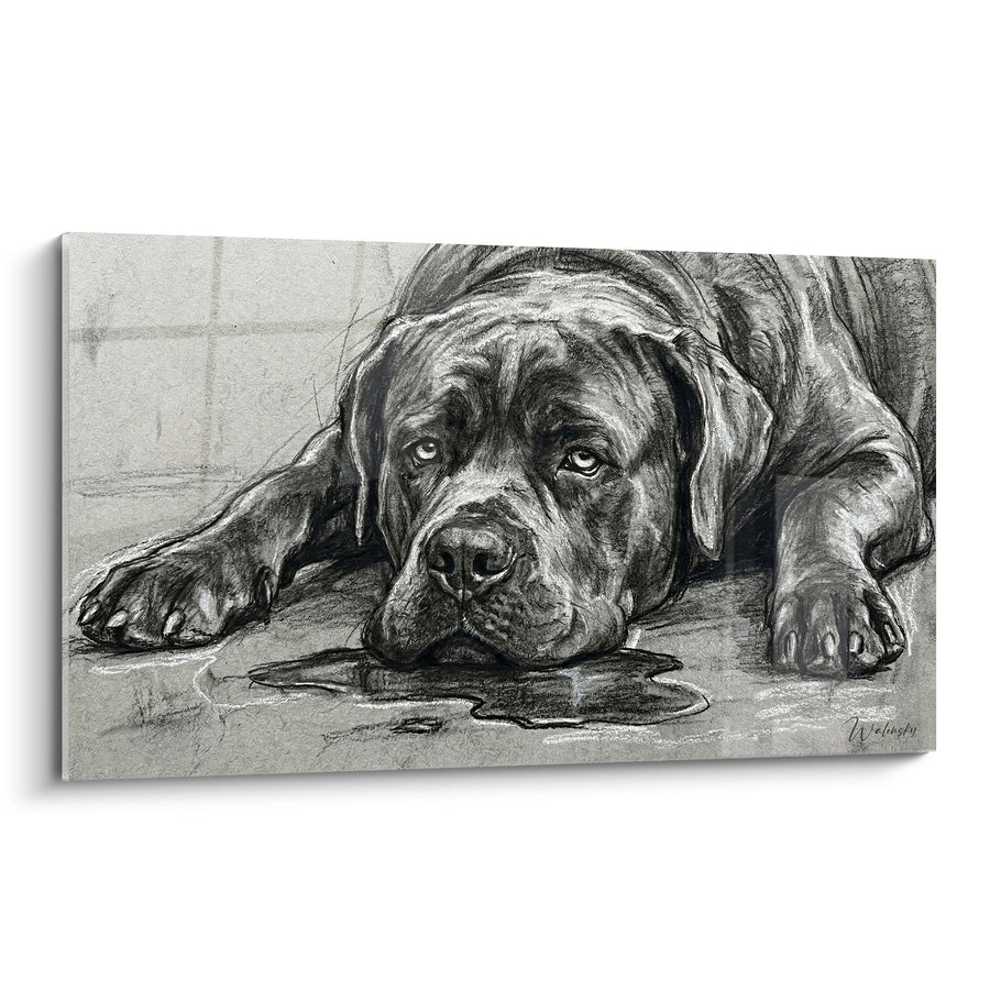 Tableau Chien Allongé au Regard Mélancolique - Contemplation Silencieuse - Edition Cane Corso