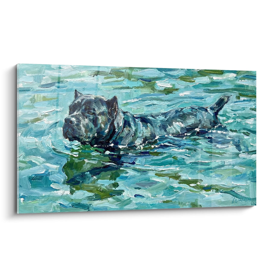 Tableau Cane Corso Nageant dans l'Eau Turquoise - Évasion Aquatique - Edition Cane Corso