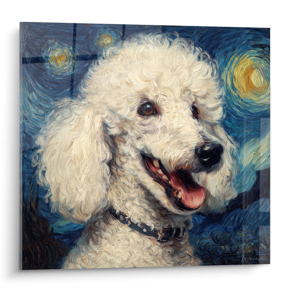 Cuadro de Caniche Blanco con Ojos Expresivos - Noche Estrellada - Edición Caniche