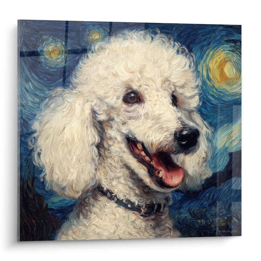 White Poodle with Expressive Eyes Painting - Starry Night - Poodle Edition