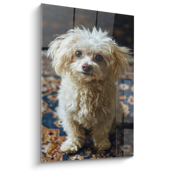 Cuadro de Caniche Crema con Ojos Tiernos sobre Alfombra Oriental - Mirada Cautivadora - Edición Caniche