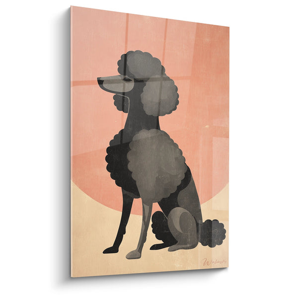 Cuadro de Caniche Gris con Gafas sobre Fondo Rosa Coral - Retrato Moderno - Edición Caniche