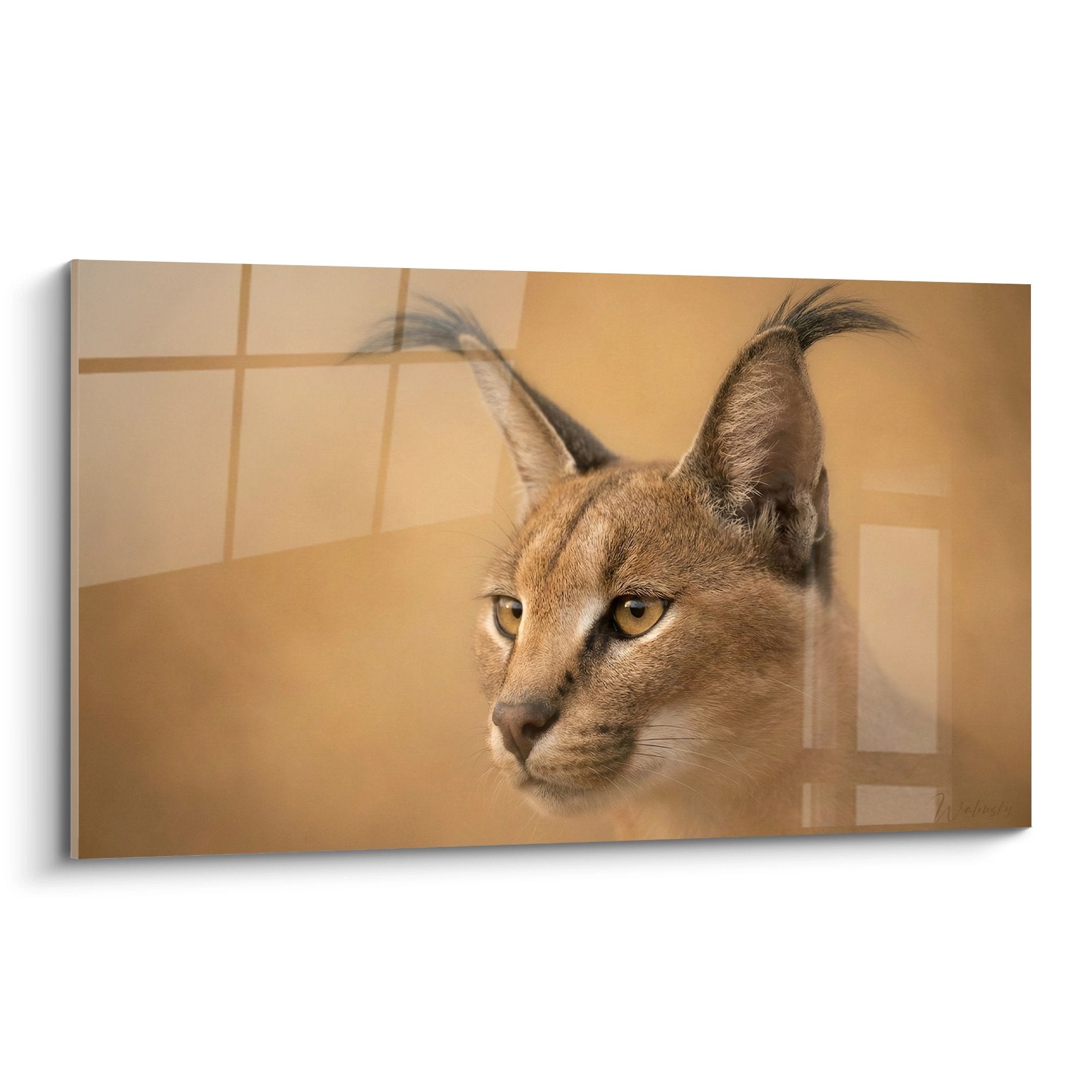 Porträt Caracal goldene Töne intensiver Blick getupfte Ohren schwarze Pinselstriche Tierskulptur