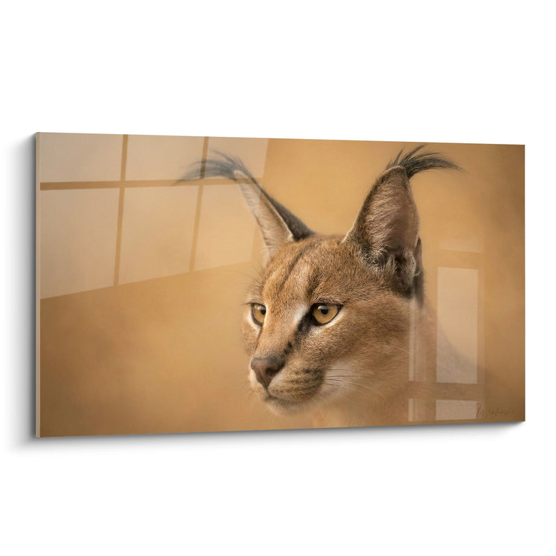 Tableau Portrait de Caracal aux Tons Dorés - Regard Perçant - Edition Caracal