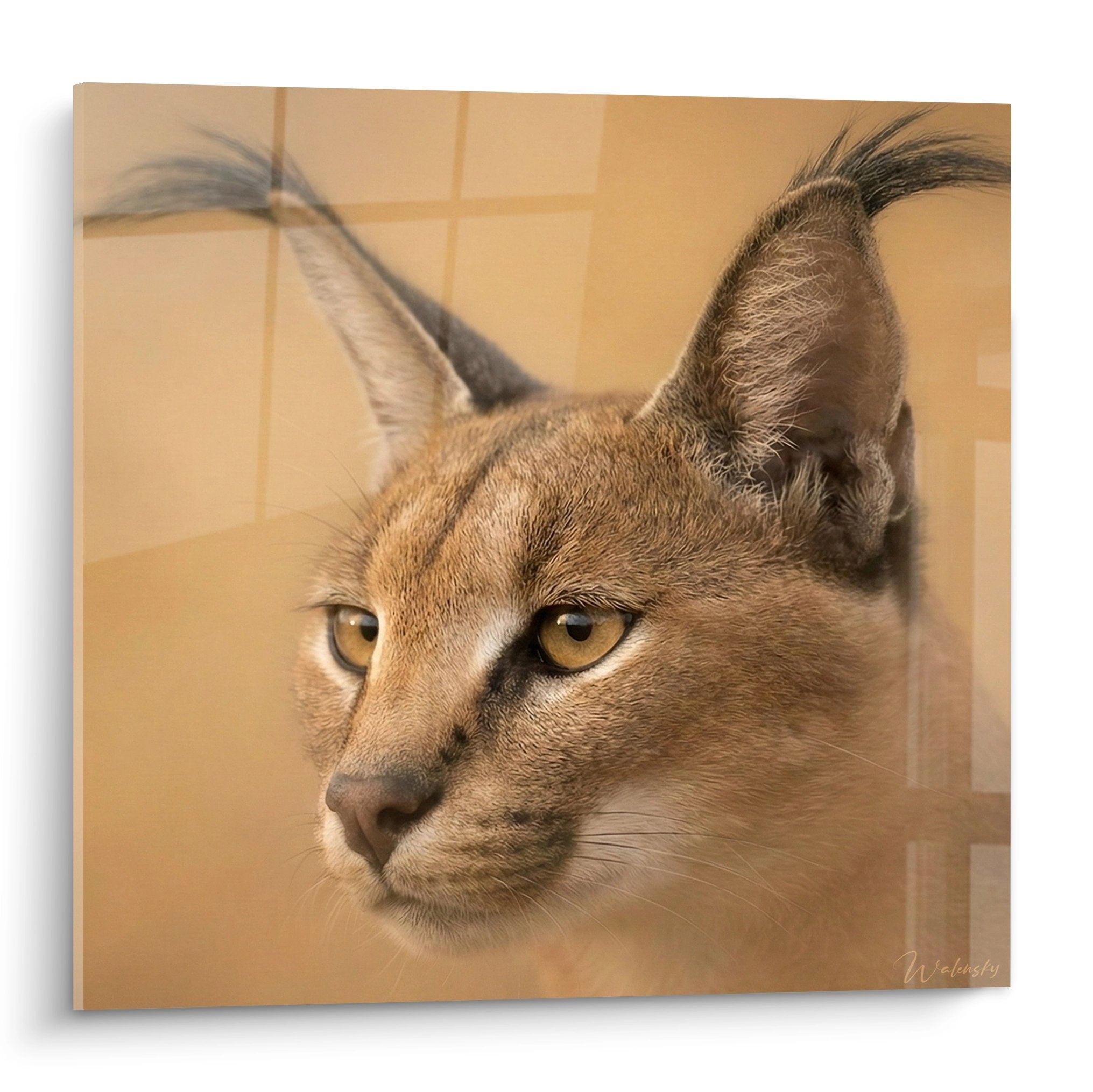 Caracal-Gemälde realistisches Porträt buschige schwarze Ohren goldene Augen ocker Hintergrund Tierkuns