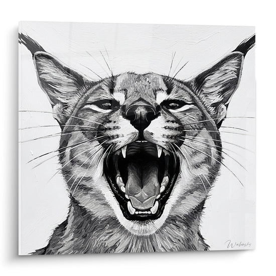 Schilderij Caracal Zwart Wit Open Mond - Wild Brul - Editie Caracal