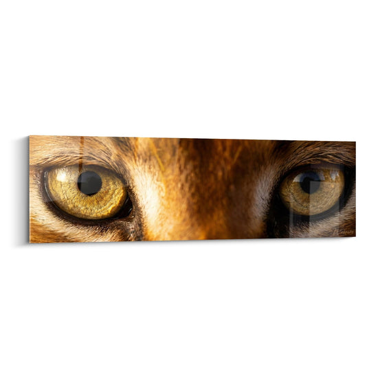 Caracal Schilderij Panoramisch Uitzicht - Wilde Blik op Koperen Iridia - Editie Caracal