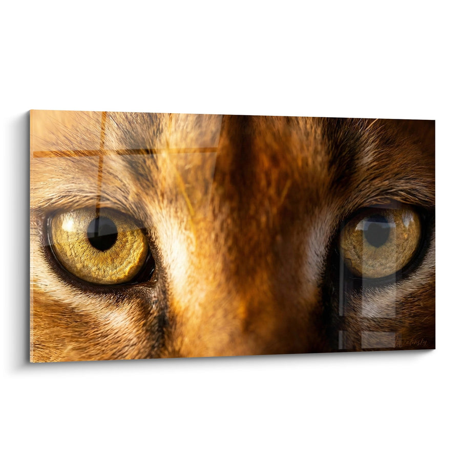 Tableau Yeux Ambrés et Fourrure Fauve en Gros Plan - Hypnose Sauvage - Edition Caracal