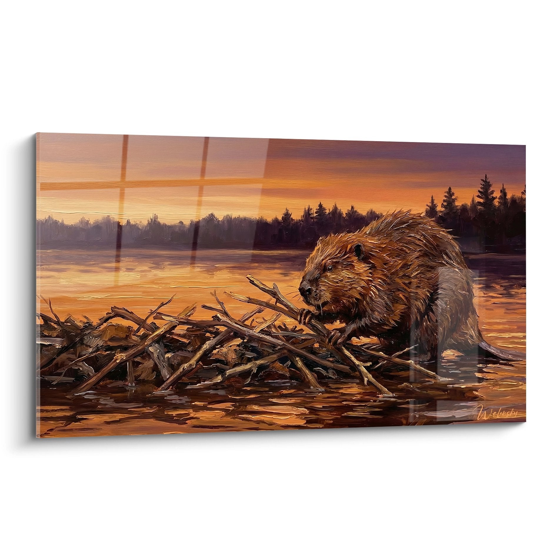 Tableau castor construisant sa hutte de branchages au coucher de soleil avec reflets dores sur eau