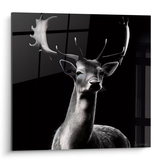 Tableau Cerf gris et noir aux bois majestueux - Veille nocturne - Edition Cerf