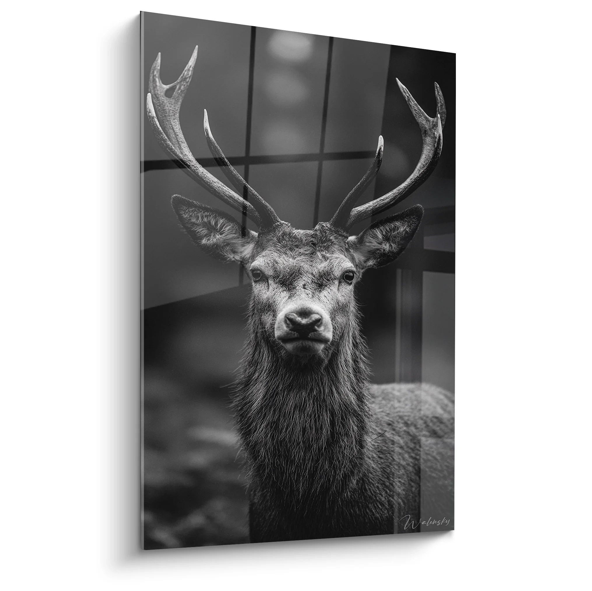 Tableau cerf majestueux noir et blanc - Portrait animal artistique avec bois imposants