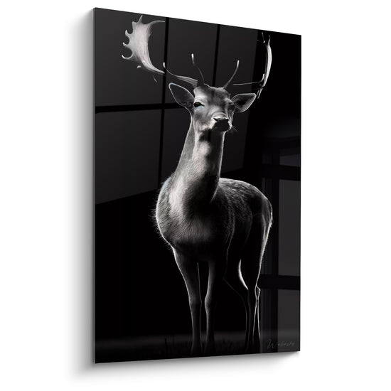 Tableau Cerf blanc et noir aux yeux bleutés - Fenêtre en arrière-plan - Edition Cerf