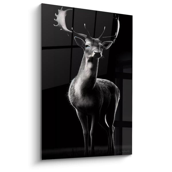 Leinwand Weißer Hirsch mit blauen Augen und Fenster im Hintergrund - Hirsch-Edition