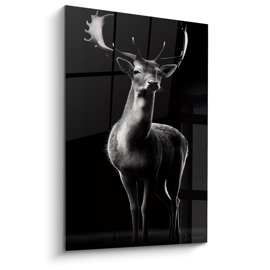 Tableau Cerf blanc et noir aux yeux bleutés - Fenêtre en arrière-plan - Edition Cerf