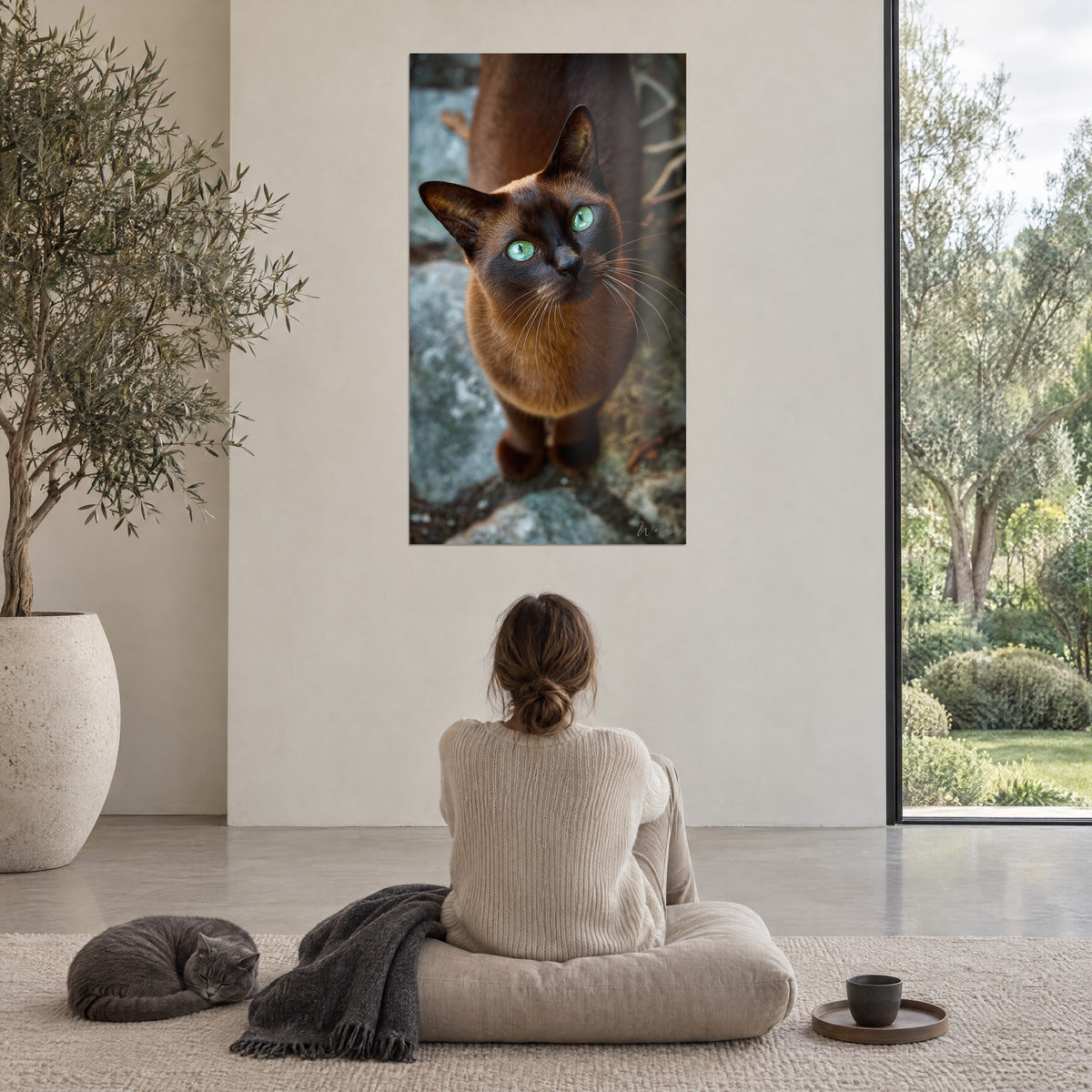 Schilderij chocoladebruin katje met doordringende groene ogen op grijze tegels, tegenover een glazen wand met uitzicht op de tuin, liggende korthaarkat