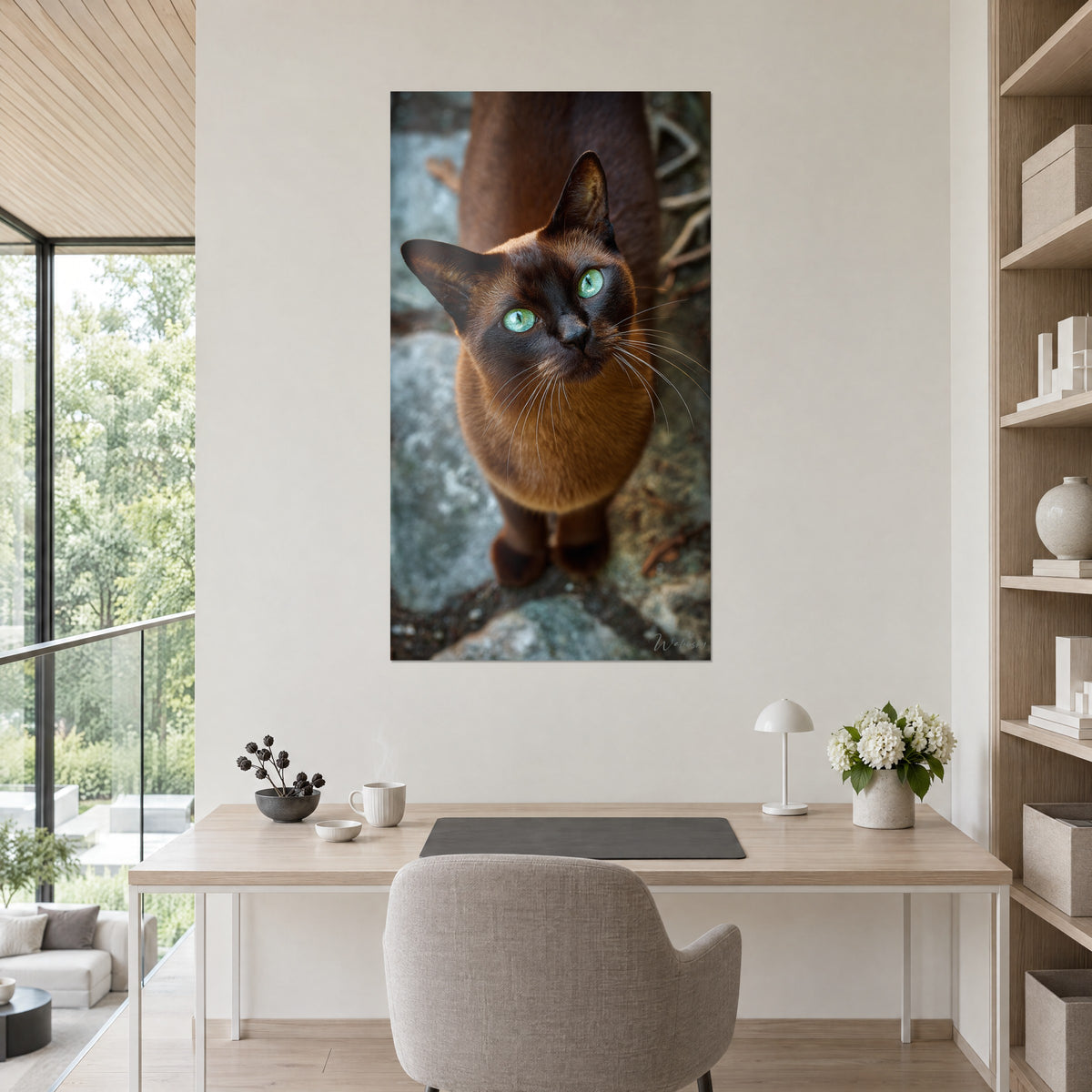 Schilderij Burmese kat met donkere snuit, mintgroene ogen, goudbruine borst, aan de muur van een kantoor naast een olijfboom in pot