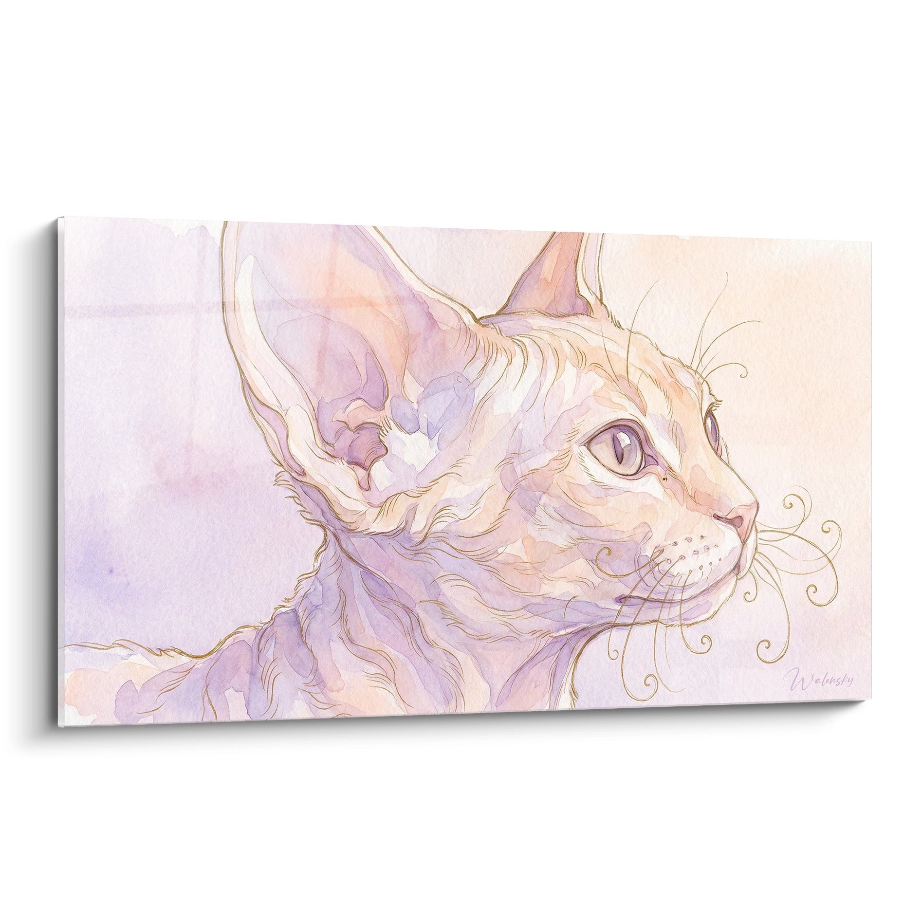 Chat Devon rex en aquarelle mauve et pêche, oreilles graphiques et moustaches dorées ondulées