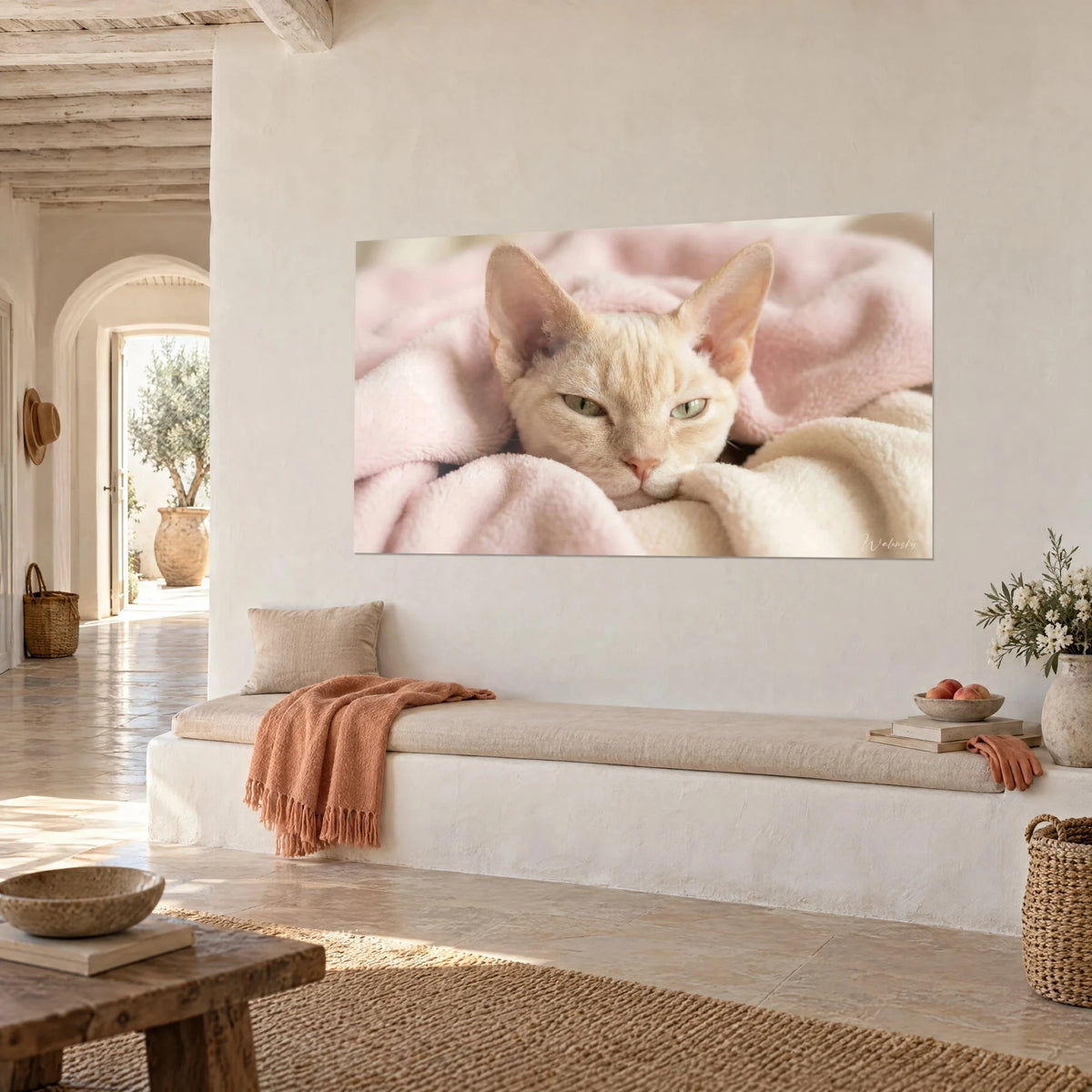Cuadro carita de Devon rex albaricoque crema sobre manta rosa polvo y blanco roto, pared encalada junto a un banco de piedra