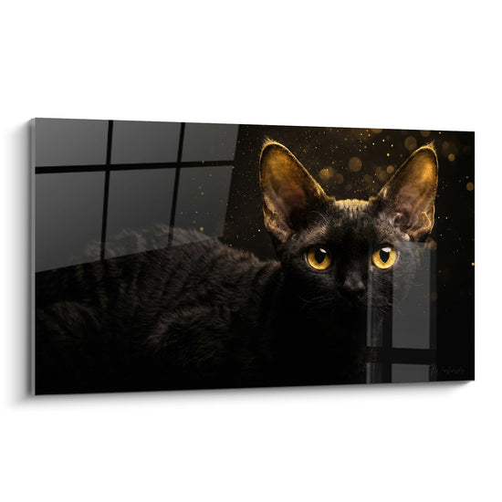 Tableau Chat noir aux oreilles dorées mouchetées - Vigie nocturne - Edition Chat Devon rex