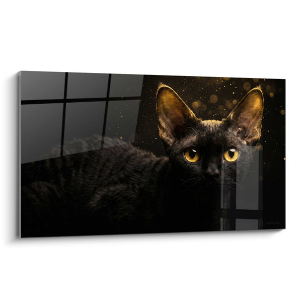 Tableau Chat noir aux oreilles dorées mouchetées - Vigie nocturne - Edition Chat Devon rex