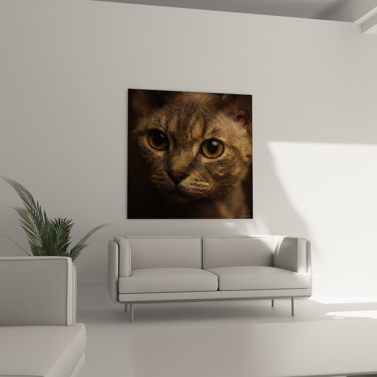 Visage de Chat Devon rex aux tons ambrés et anthracite au-dessus d'un canapé dans un salon lumineux