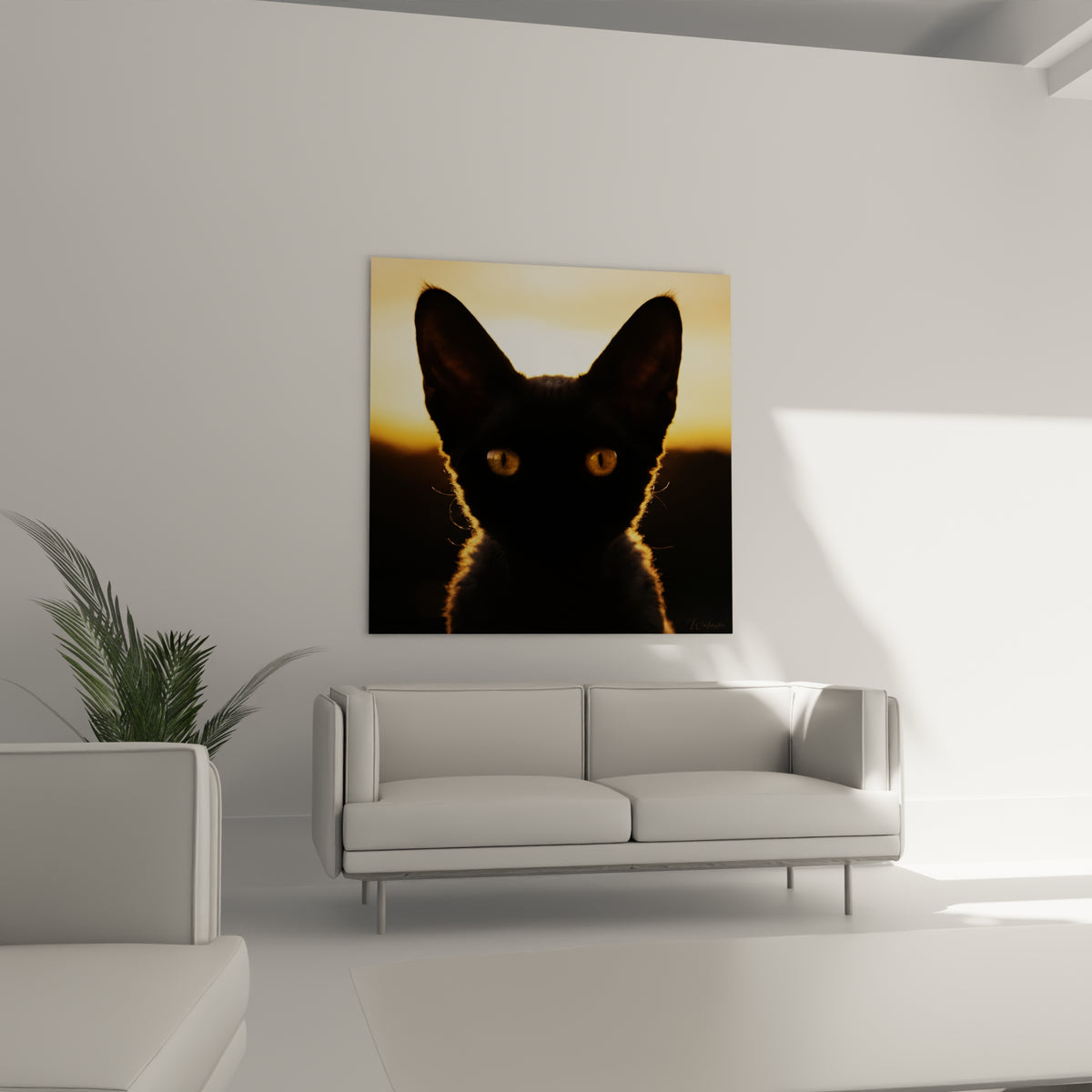 Regard intense d'un Chat Devon rex noir et doré au-dessus d'un canapé dans un salon lumineux
