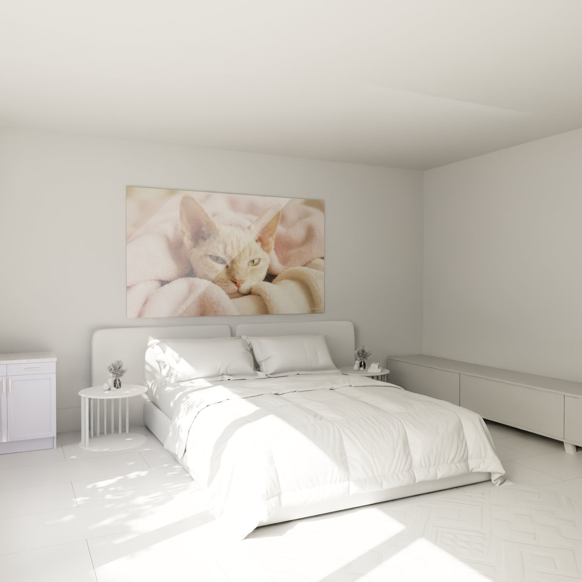Regard vert du Devon rex crème niché dans le rose, au-dessus d'un lit dans une chambre claire