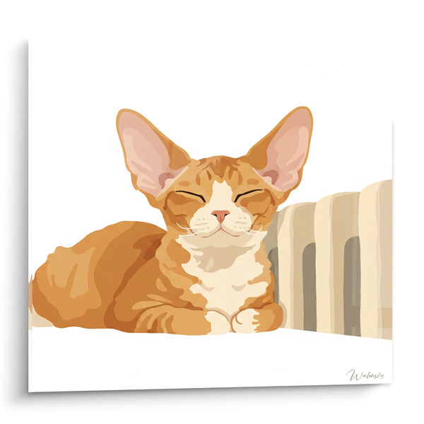 Gemälde Roter Kater mit großen Ohren neben einem Heizkörper - Nickerchen in der Wärme - Devon Rex Katzen Edition