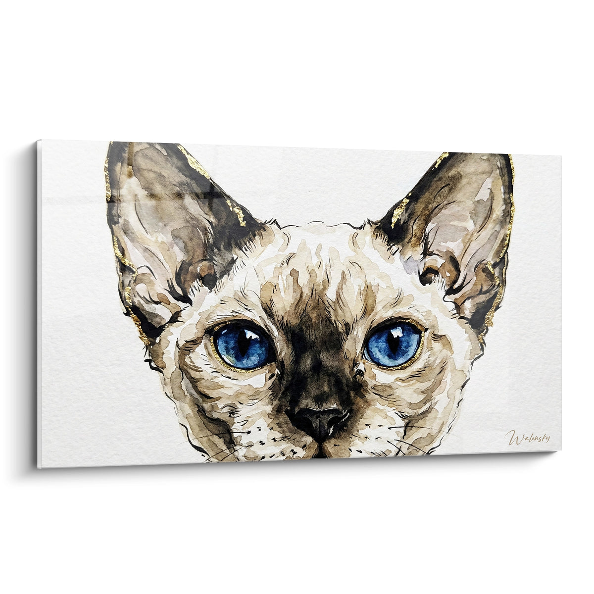 Chat Devon rex aux yeux bleus intenses, oreilles brunes et dorées, aquarelle sur fond blanc
