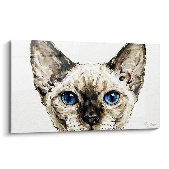 Tableau Chat oreilles brunes et dorées yeux bleus - Regard qui transperce - Edition Chat Devon rex