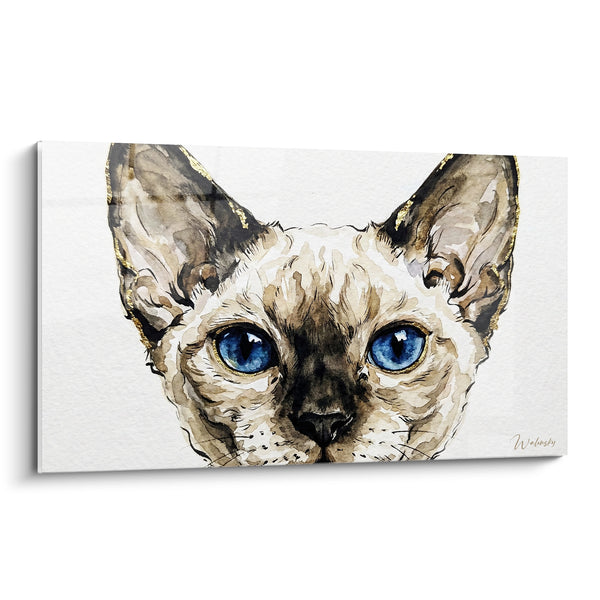 Tableau Chat oreilles brunes et dorées yeux bleus - Regard qui transperce - Edition Chat Devon rex