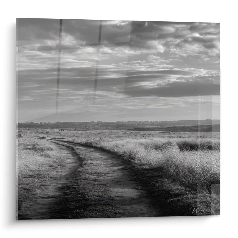 Black and White Rural Path Painting - Marsh Trail - Country Edition