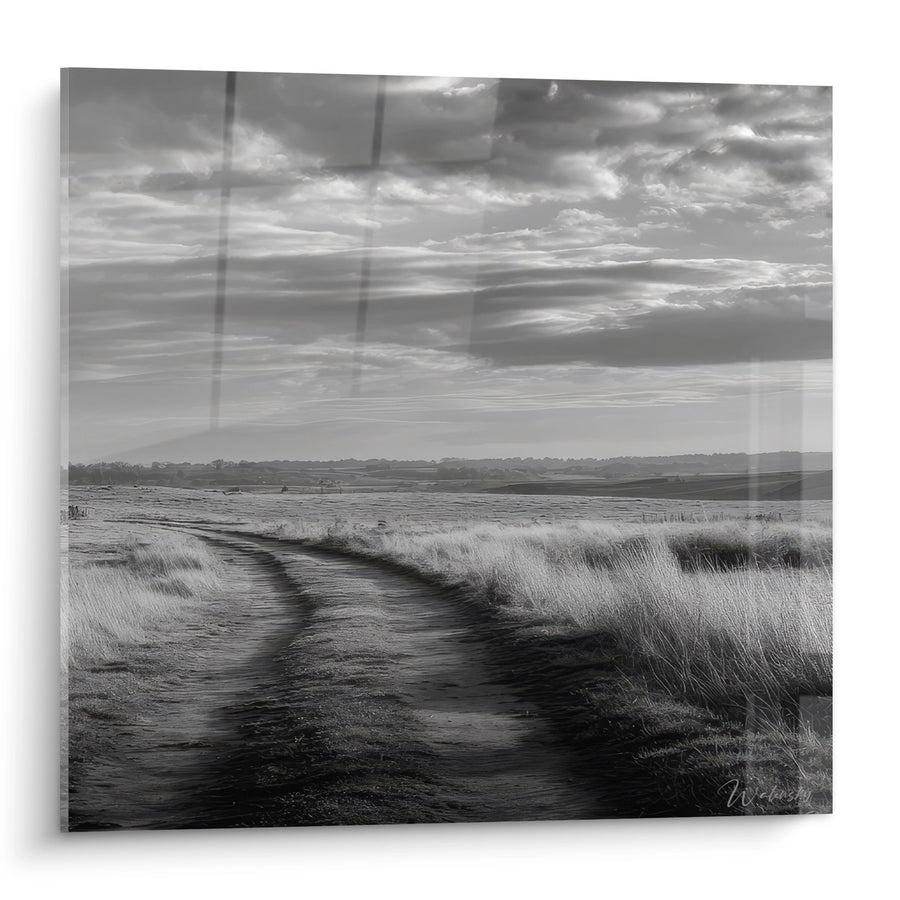 Tableau chemin rural en noir et blanc - Sentier des marais - édition campagne