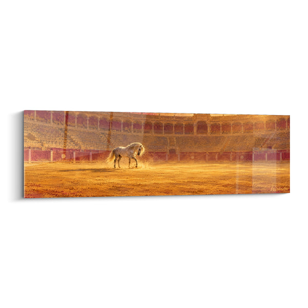 Tableau Cheval blanc dans une arène dorée - Majesté silencieuse - Edition Cheval Andalou