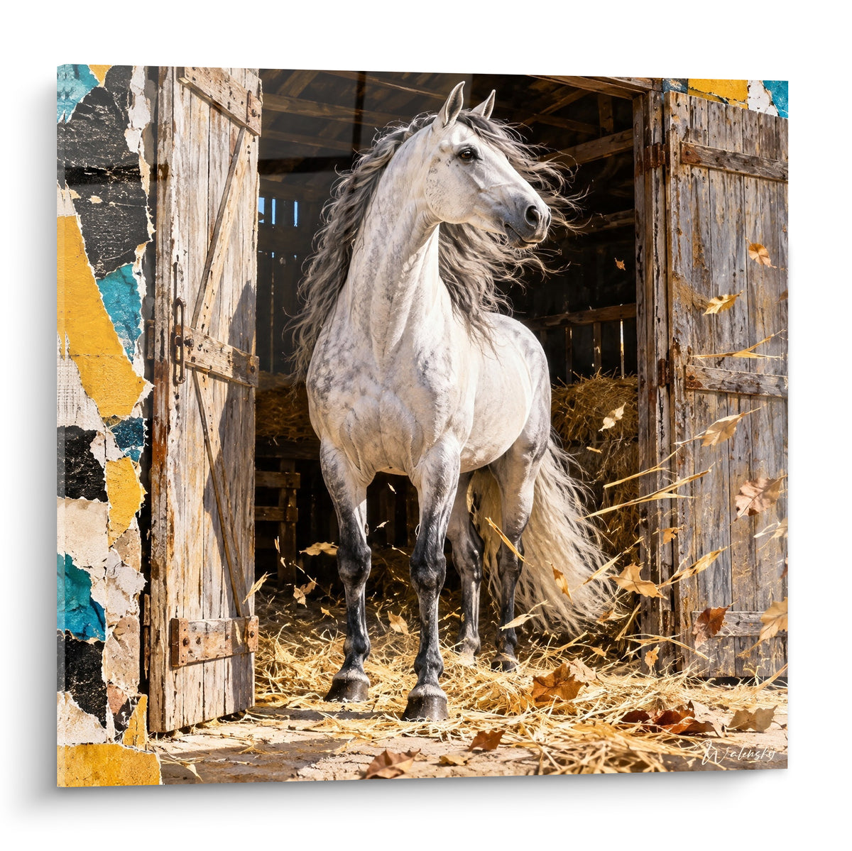 Tableau cheval andalou blanc et gris franchissant une porte d'étable en bois doré