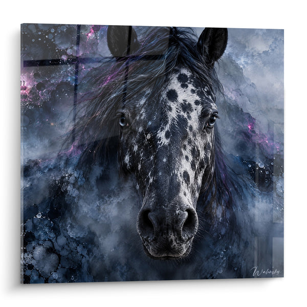 Tableau Cheval tacheté aux yeux bleu glacé - Apparition céleste - Edition Cheval Appaloosa