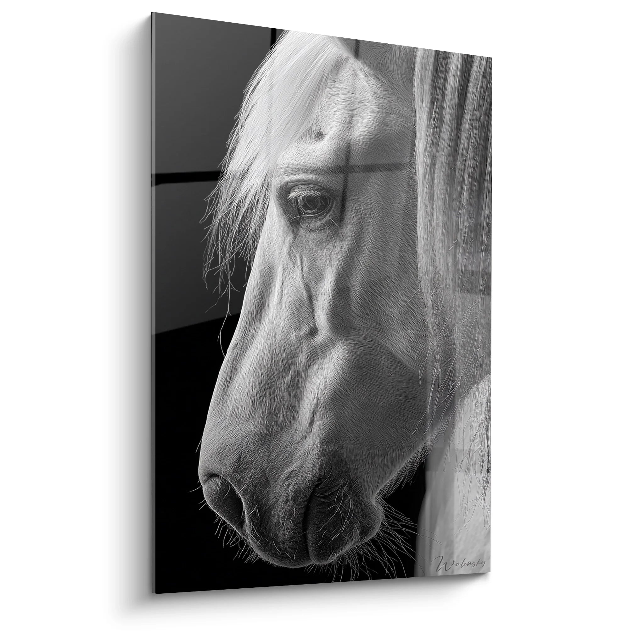Tableau portrait cheval blanc noir et blanc art équestre décoration murale élégante