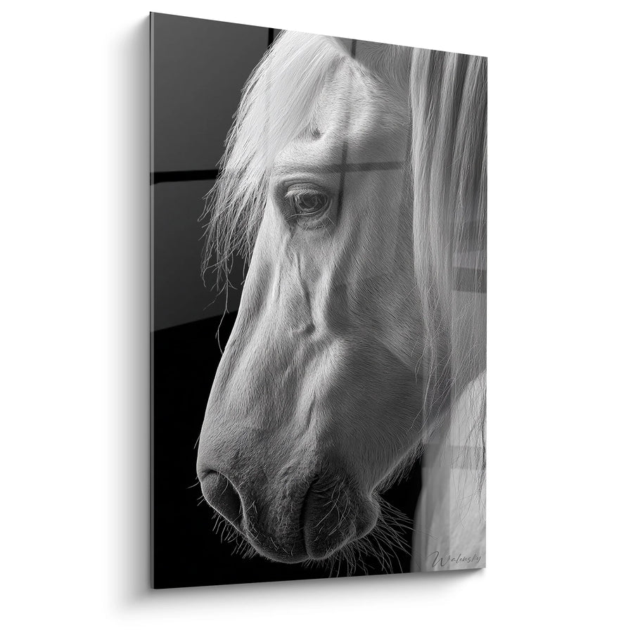 Tableau Cheval Blanc Portrait - Grâce Équestre - Edition animaux noir et blanc