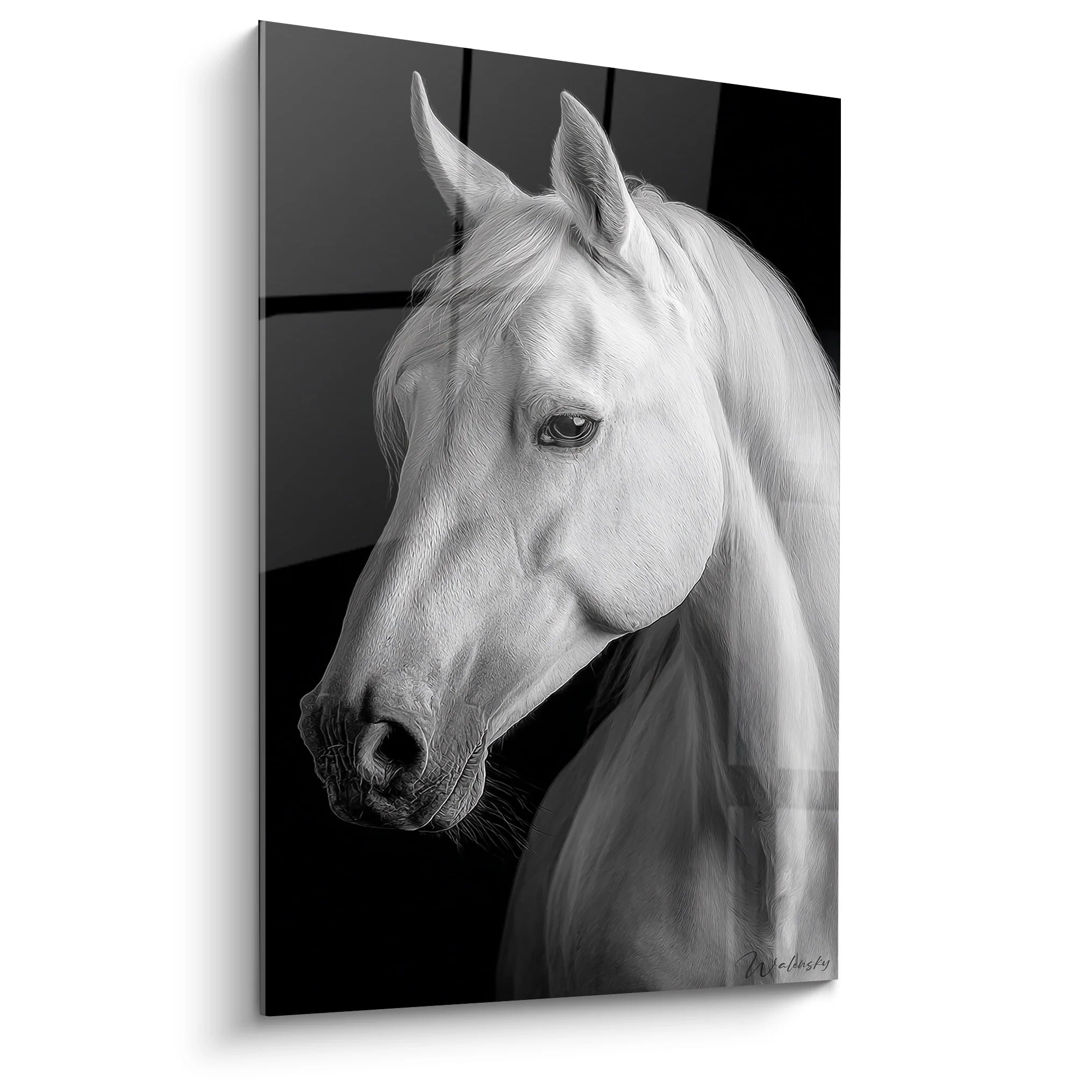Tableau cheval blanc portrait noir et blanc art mural équestre décoratif moderne
