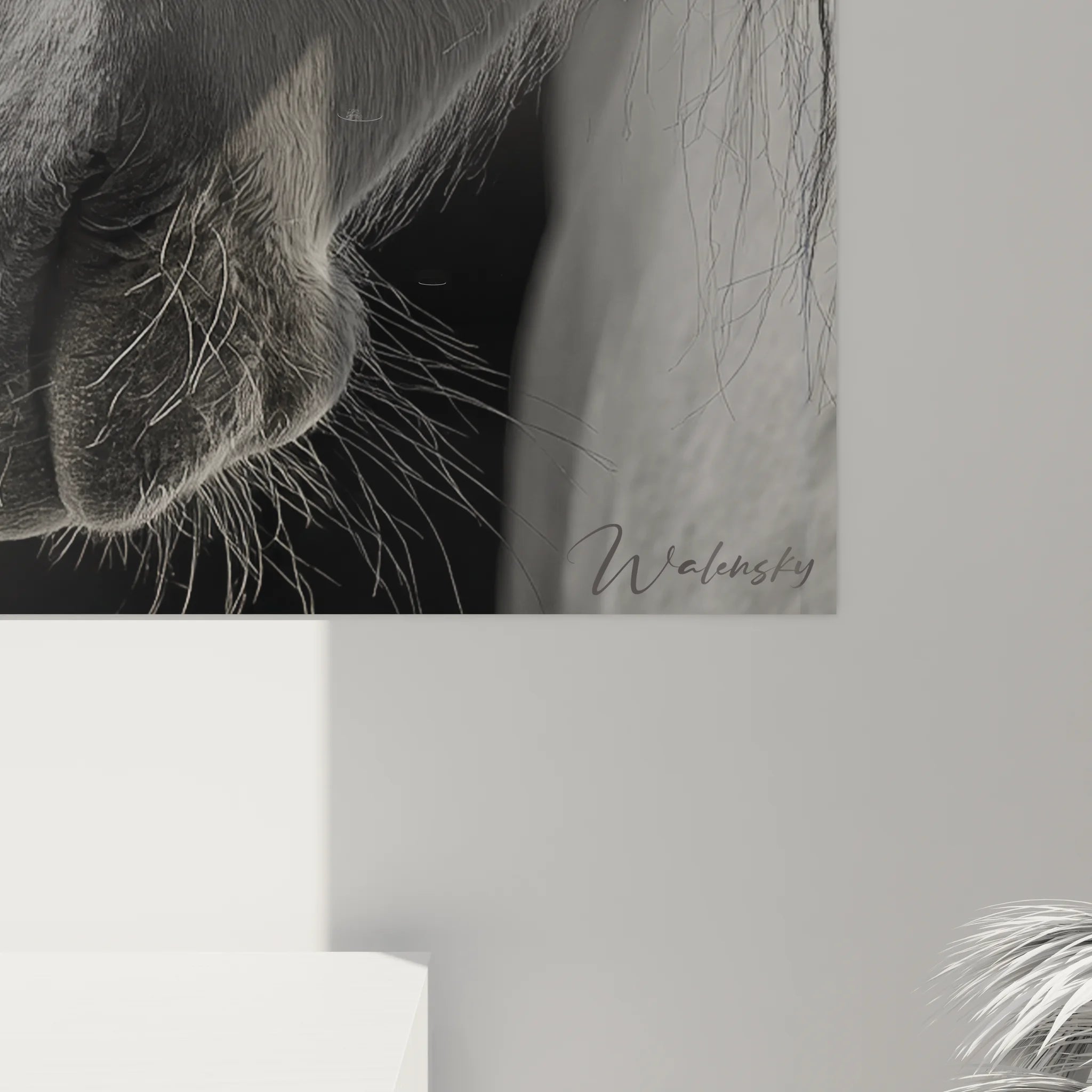 Vue ensemble tableau cheval blanc mural portrait équestre décoration noir et blanc moderne