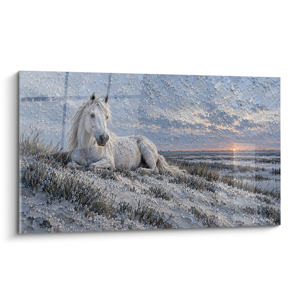 Tableau Cheval blanc couché face aux marais - Repos au crépuscule - Edition Cheval de Camargue