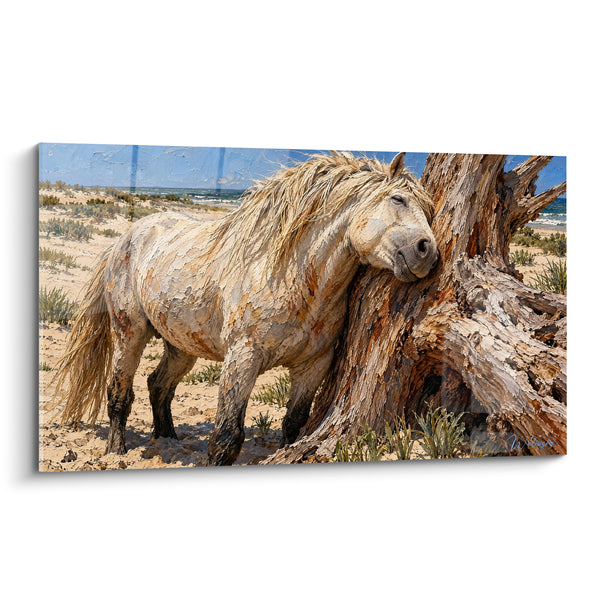 Tableau Cheval blanc contre tronc sableux - Repos sur la dune - Edition Cheval de Camargue
