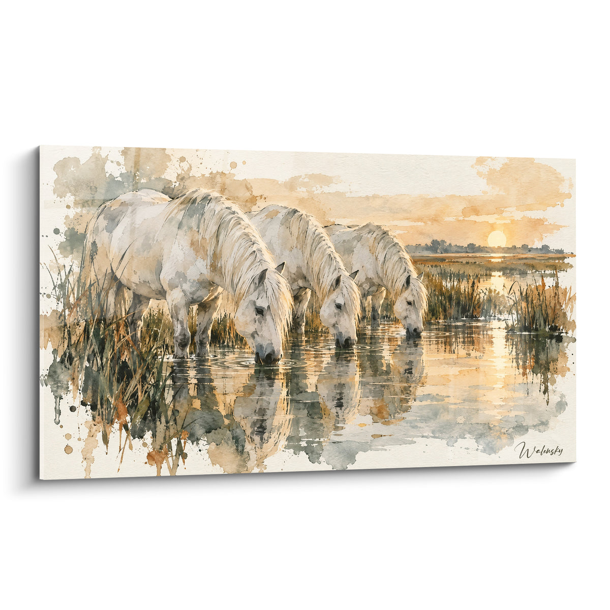 Tableau chevaux de Camargue blancs buvant dans un marais aux reflets ocre et dorés au crépuscule