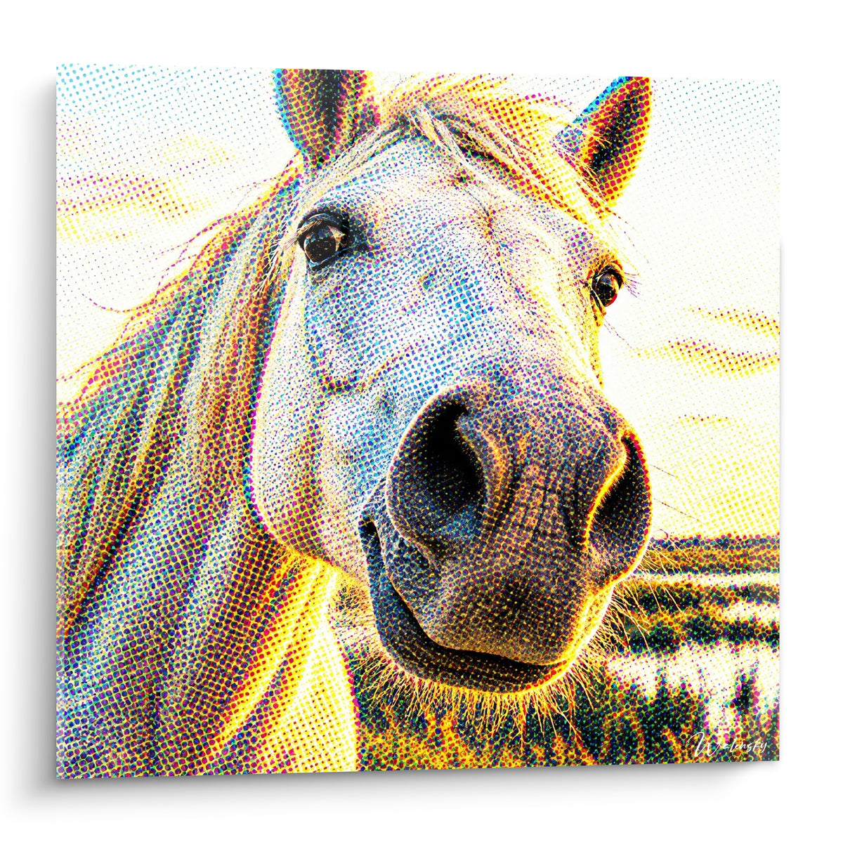 Tableau Cheval de Camargue blanc et doré, museau et regard en pleine lumière pointillée