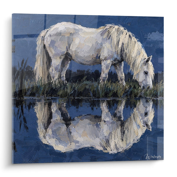 Tableau Cheval blanc buvant à l'étang bleu - Miroir d'eau tranquille - Edition Cheval de Camargue