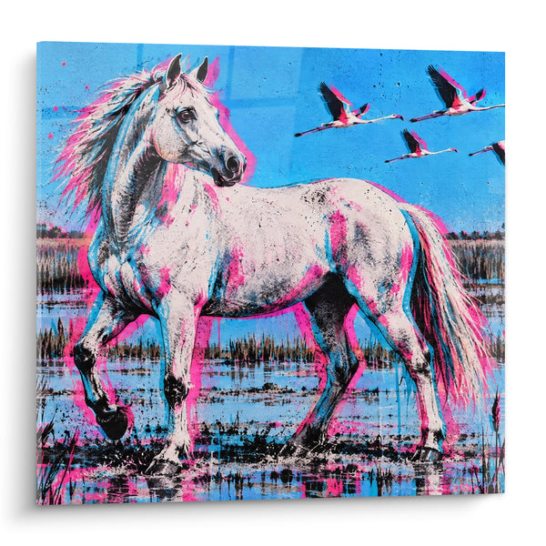 Tableau Cheval blanc aux éclaboussures roses et bleues - Galop dans les marais - Edition Cheval de Camargue