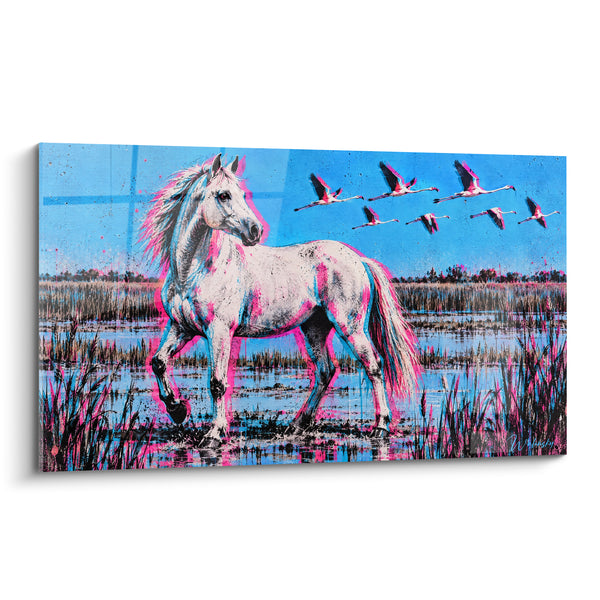 Tableau Cheval blanc aux reflets roses dans les marais - Envol marécageux - Edition Cheval de Camargue